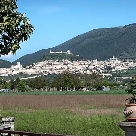 Mariella Panzió 3*