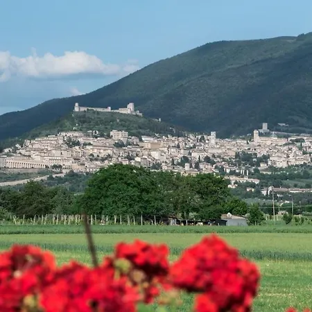 Bed & Breakfast Mariella Bastia Umbra