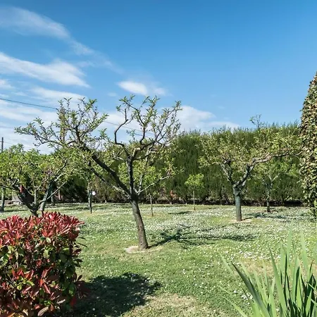 Bed & Breakfast Mariella Bastia Umbra
